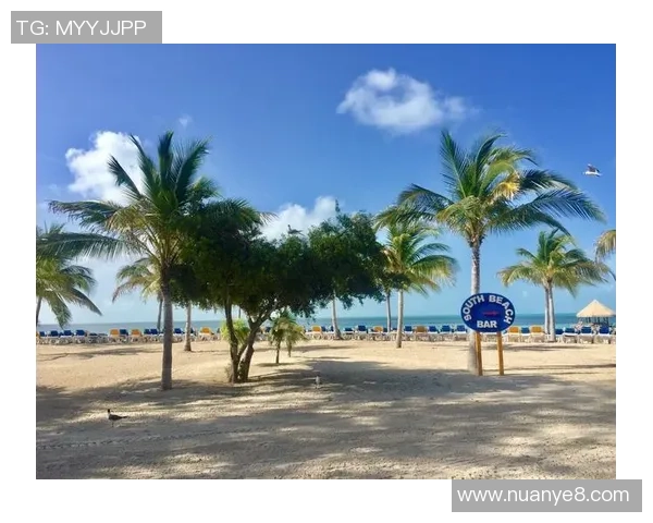 世美预杯赛：第三节完，加拿大以86-55抢先巴哈马，威尔哲22+6+1